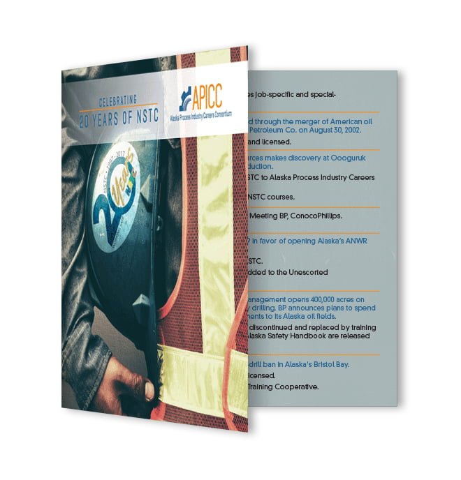 APICC brochure