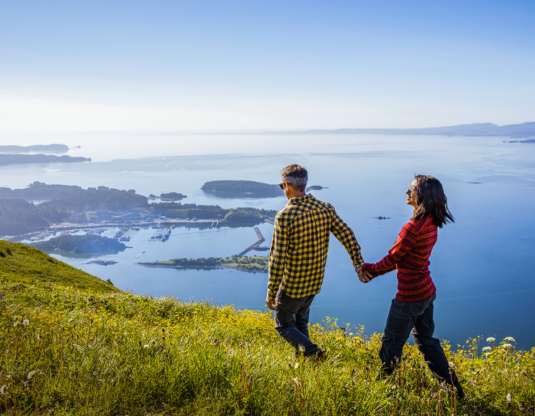 Cliff Point Estates – MSI Communications